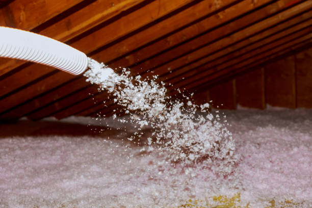 Best Residential Insulation in Minorca, LA