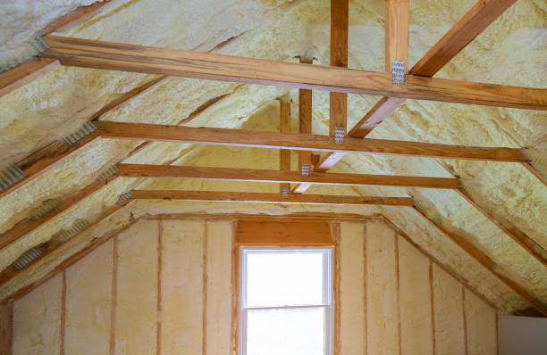 Best Spray Foam Insulation in Minorca, LA